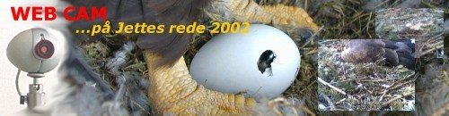 WEB-CAM … på Jettes rede 2002